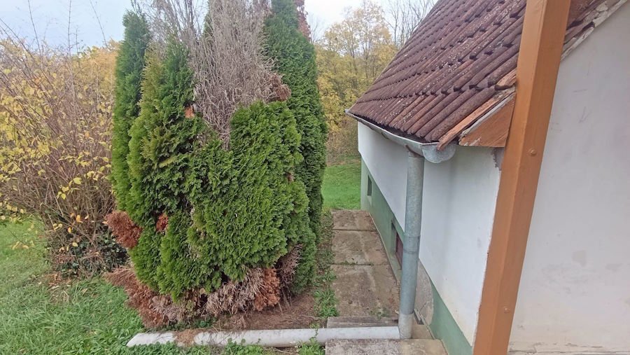 (ABA) Small vineyard cottage in almost secluded location, available immediately – Gelse, photo 17 of 23