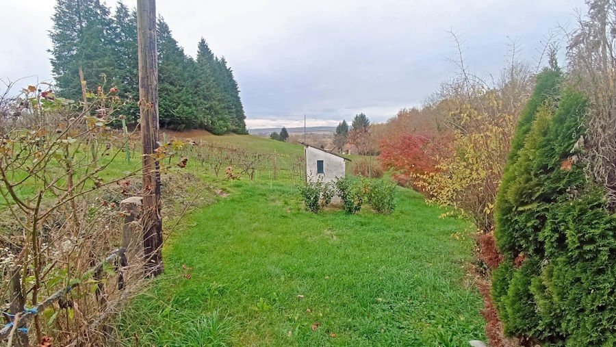 (ABA) Small vineyard cottage in almost secluded location, available immediately – Gelse, photo 19 of 23