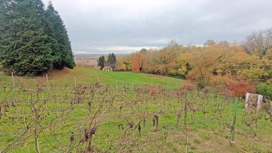 (ABA) Small vineyard cottage in almost secluded location, available immediately – Gelse, photo 20 of 23