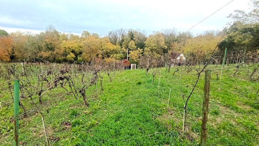 (ABA) Small vineyard cottage in almost secluded location, available immediately – Gelse, photo 21 of 23