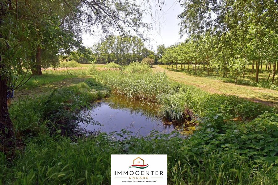 (ABA) Hotel-pension in a quiet location with large grounds & pond – bei Lengyeltóti, photo 5 of 47