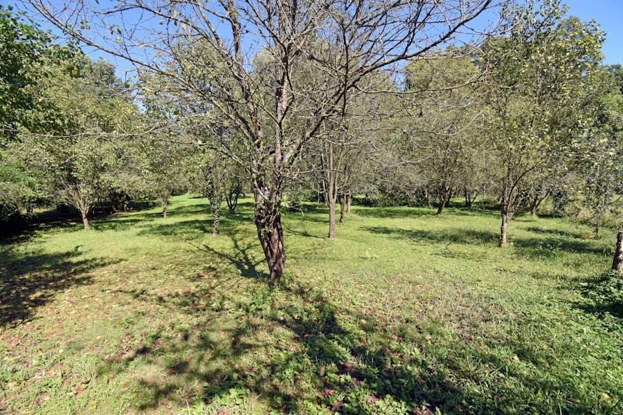 2 Landhäuser nebeneinander, eins bereits renoviert (BBA-FER0910) – Nagyszakácsi, Bild 32 von 33