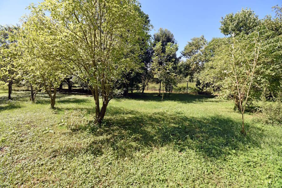 2 Landhäuser nebeneinander, eins bereits renoviert (BBA-FER0910) – Nagyszakácsi, Bild 33 von 33
