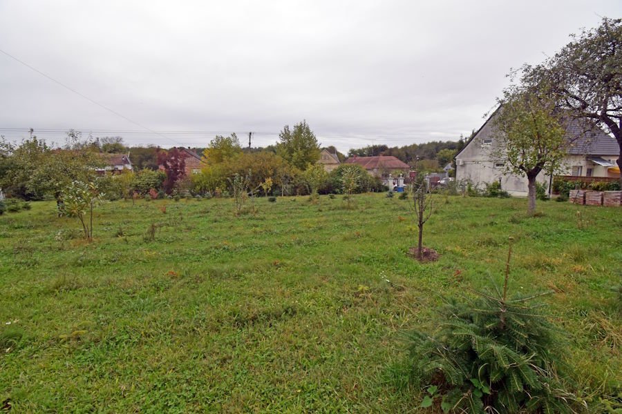 (AAA) Very nice country house & 2 apartments near thermal baths – Csokonyavisonta, photo 36 of 36