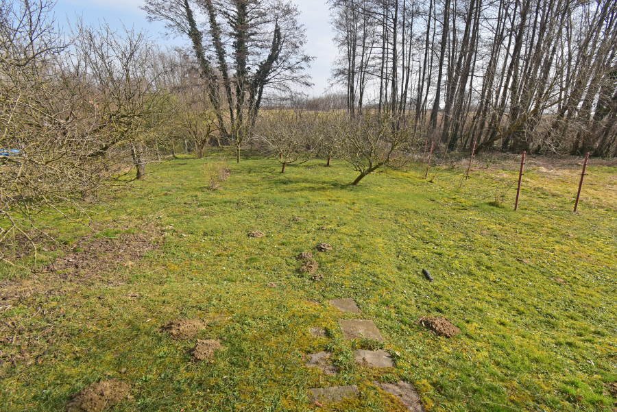 (AAA) Renoviertes Haus in ruhigem Dorf zu verkaufen – Mezőcsokonya, Bild 33 von 33