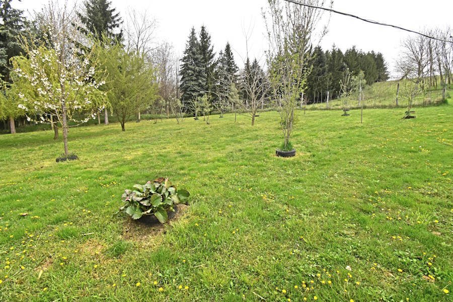 ECO DREAM HÁZ panorámás kilátással Nyugat-Magyarországon (AAA-FER2804) – Homokkomárom, 20/25. kép