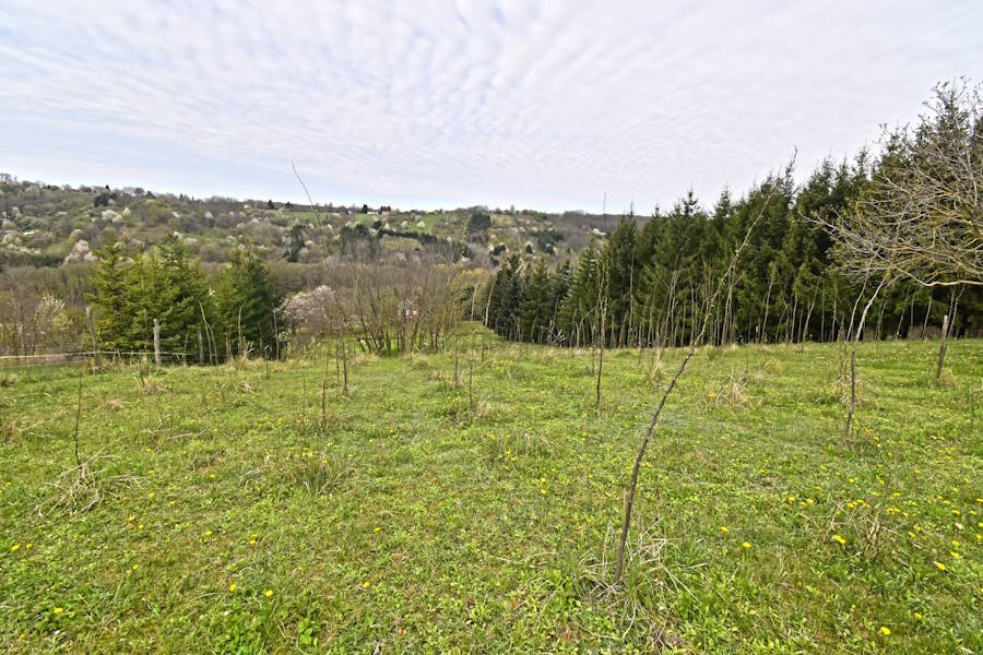 ECO DREAM HÁZ panorámás kilátással Nyugat-Magyarországon (AAA-FER2804) – Homokkomárom, 22/25. kép
