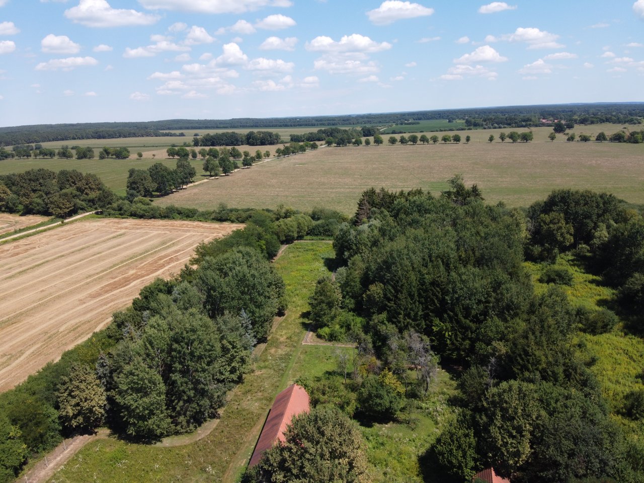 Renoviertes Herrenhaus mit großem Grundstück, ideal für Pferdebesitzer & Ruhesuchende – bei Magyarföld, Bild 3 von 39