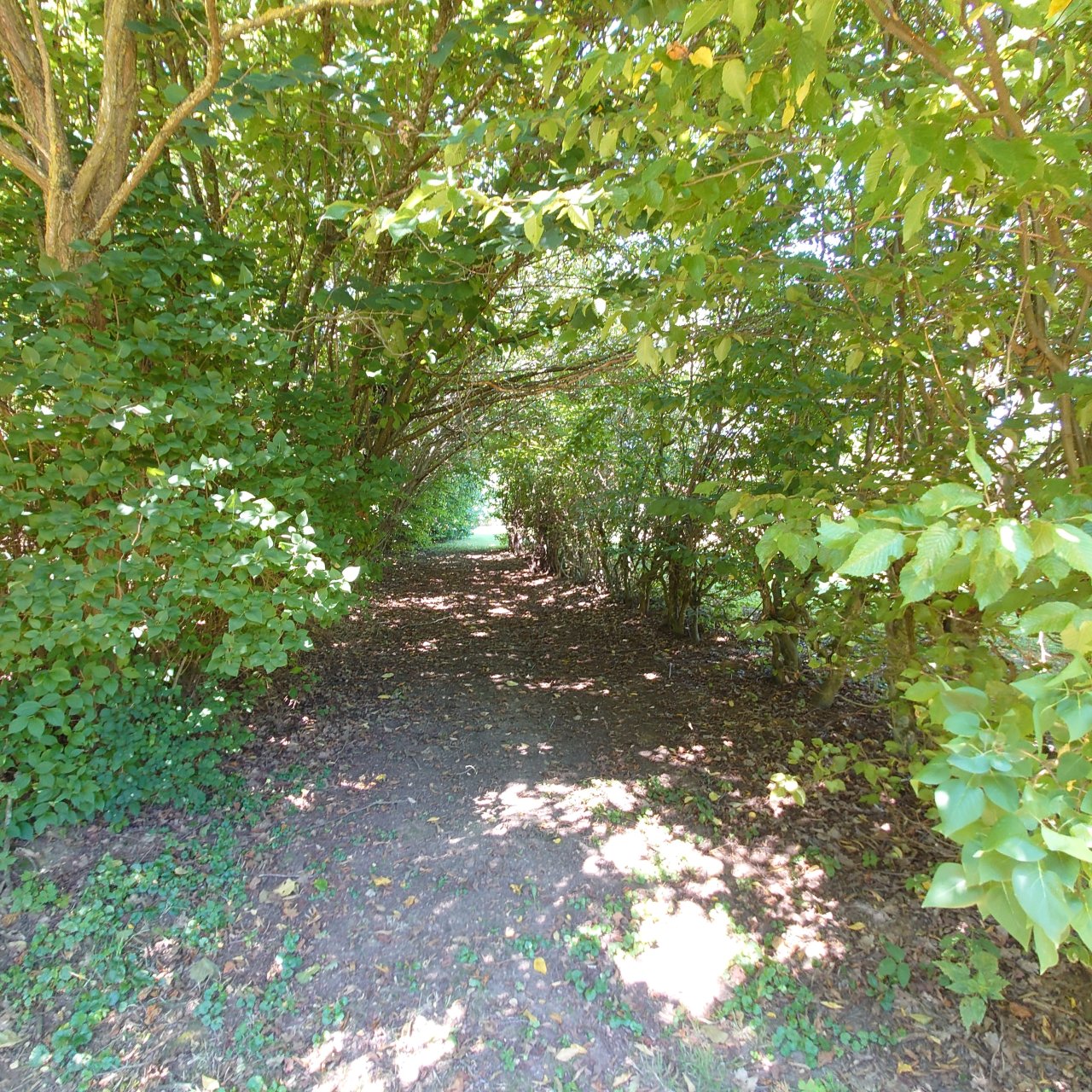 Laubengang, Bild 32 von 39