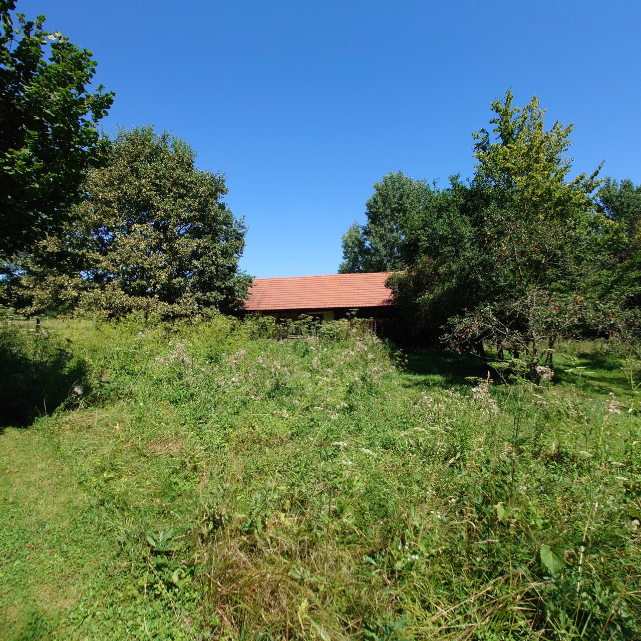 Renoviertes Herrenhaus mit großem Grundstück, ideal für Pferdebesitzer & Ruhesuchende – bei Magyarföld, Bild 37 von 39
