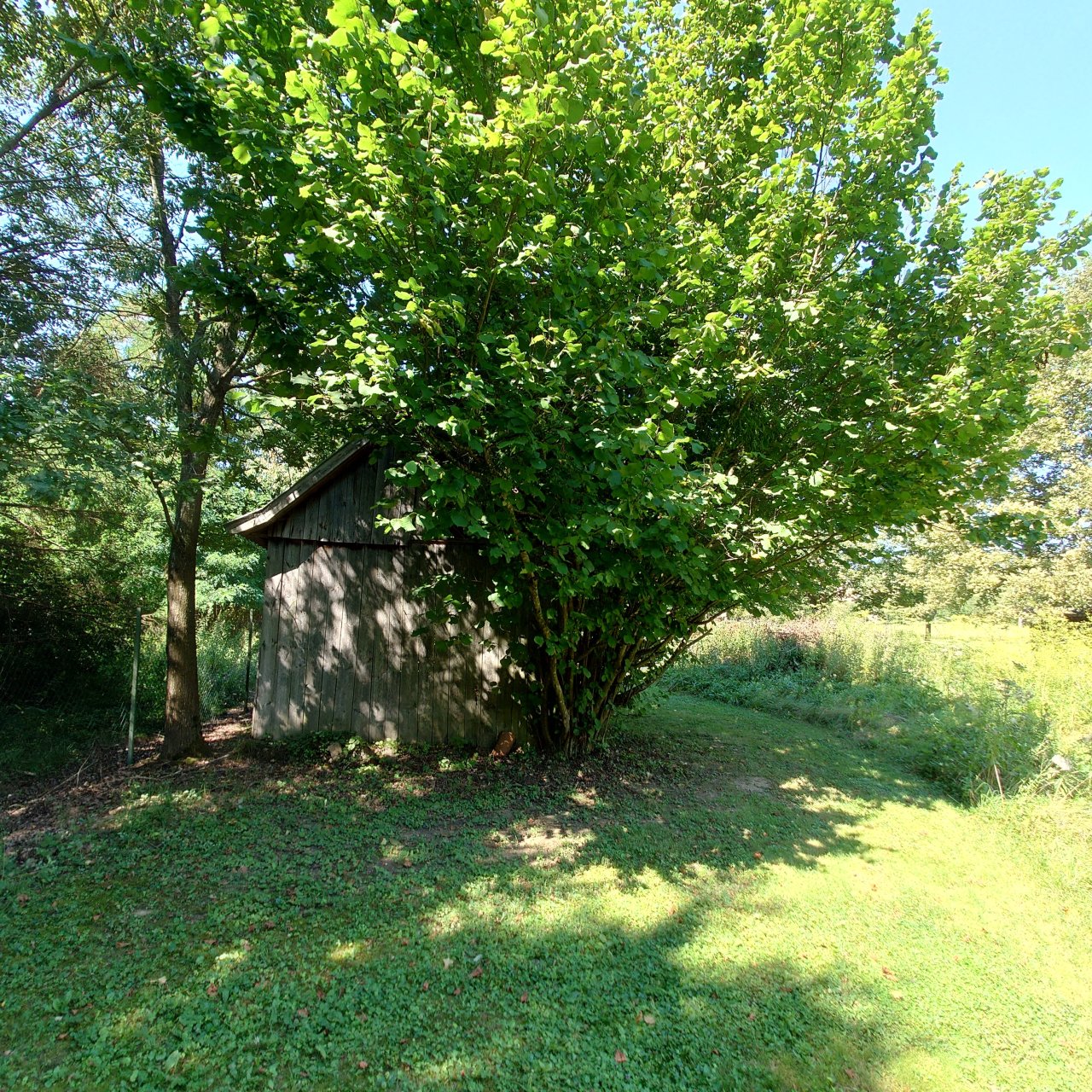 Renoviertes Herrenhaus mit großem Grundstück, ideal für Pferdebesitzer & Ruhesuchende – bei Magyarföld, Bild 38 von 39