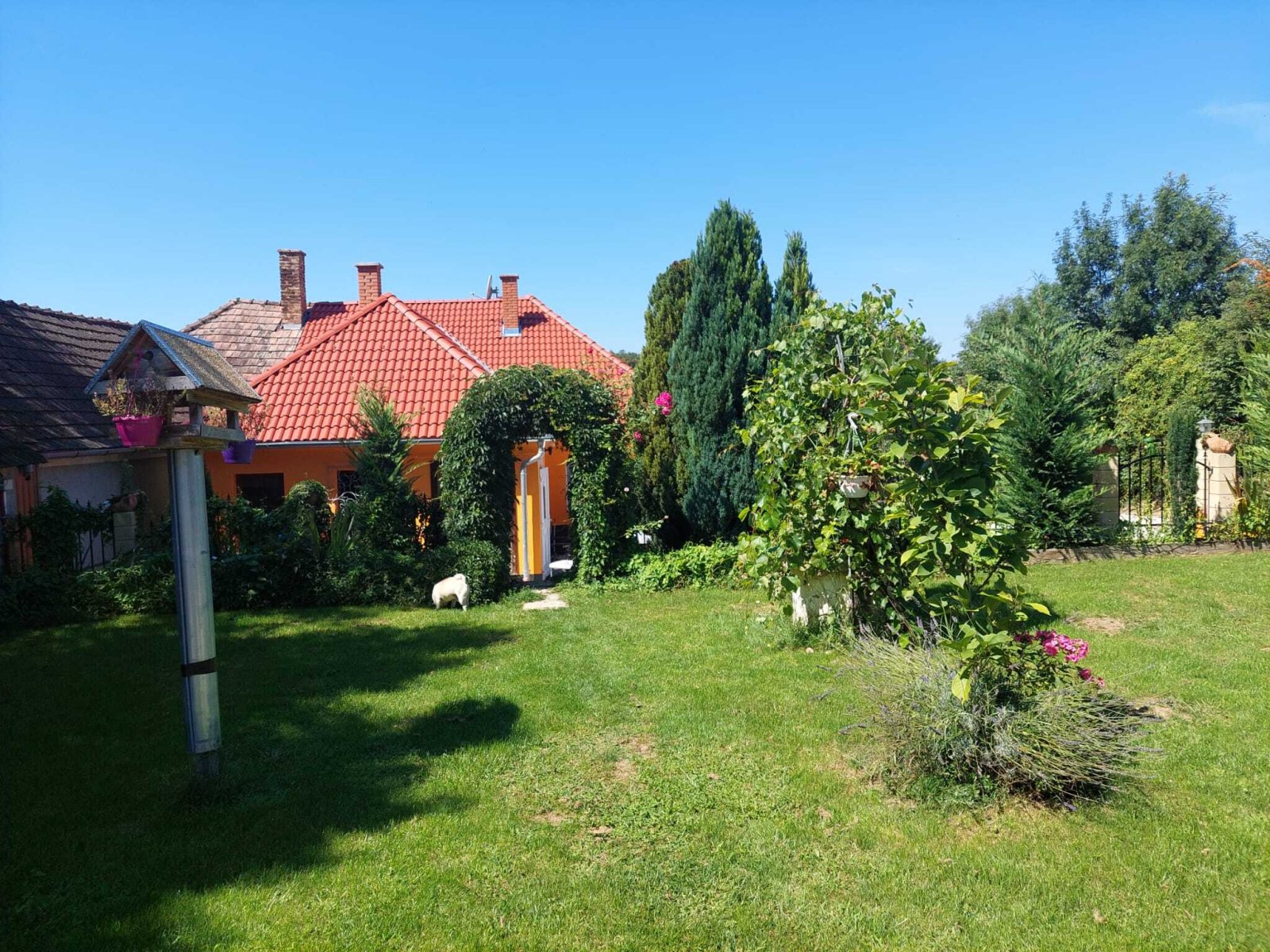 (BBA) Landhaus mit großem Grundstück bei Héviz – Zalaszentlászló, Bild 2 von 23