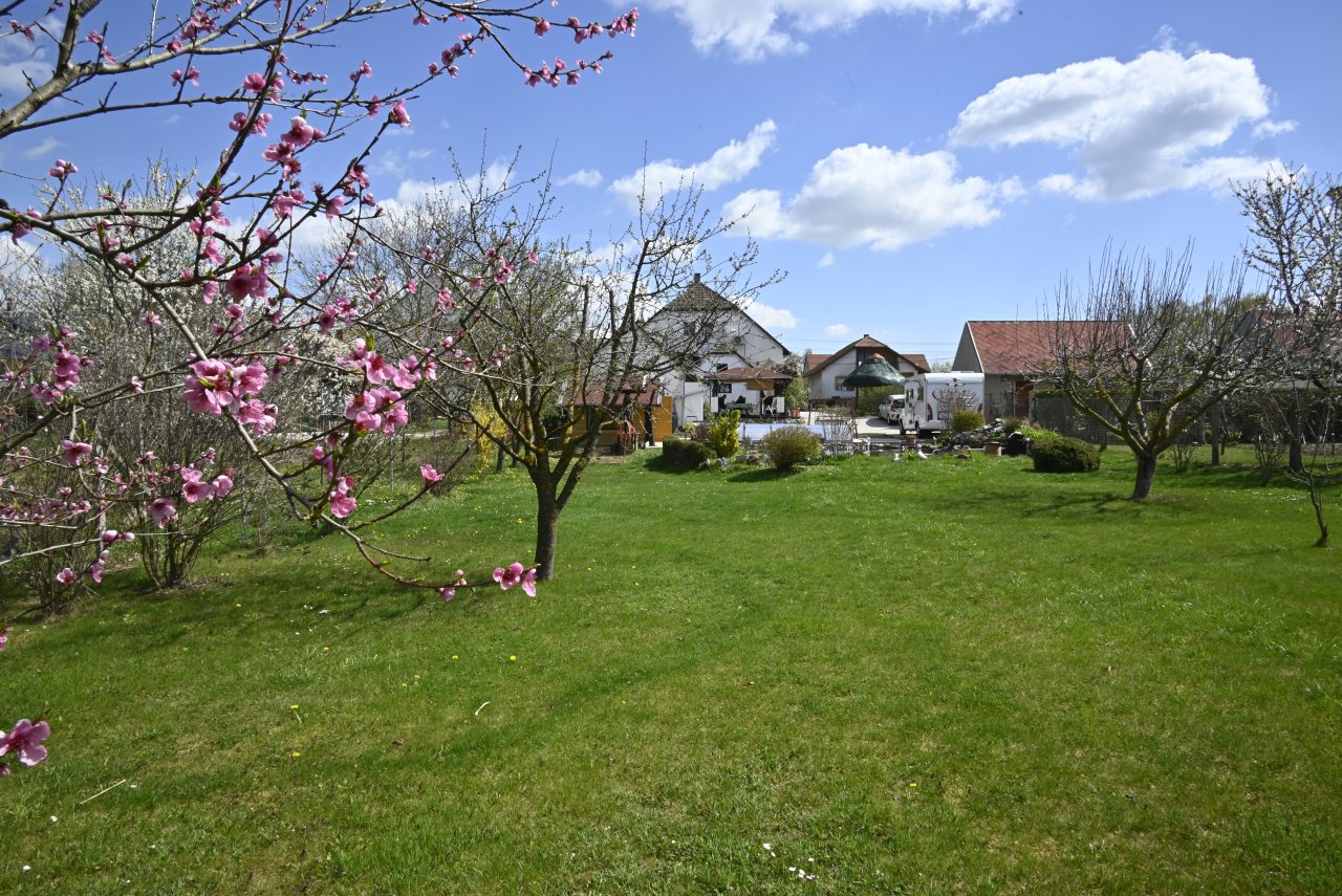 (AAA) Large country house with pool in a quiet location near Heviz – Sármellék, photo 5 of 66