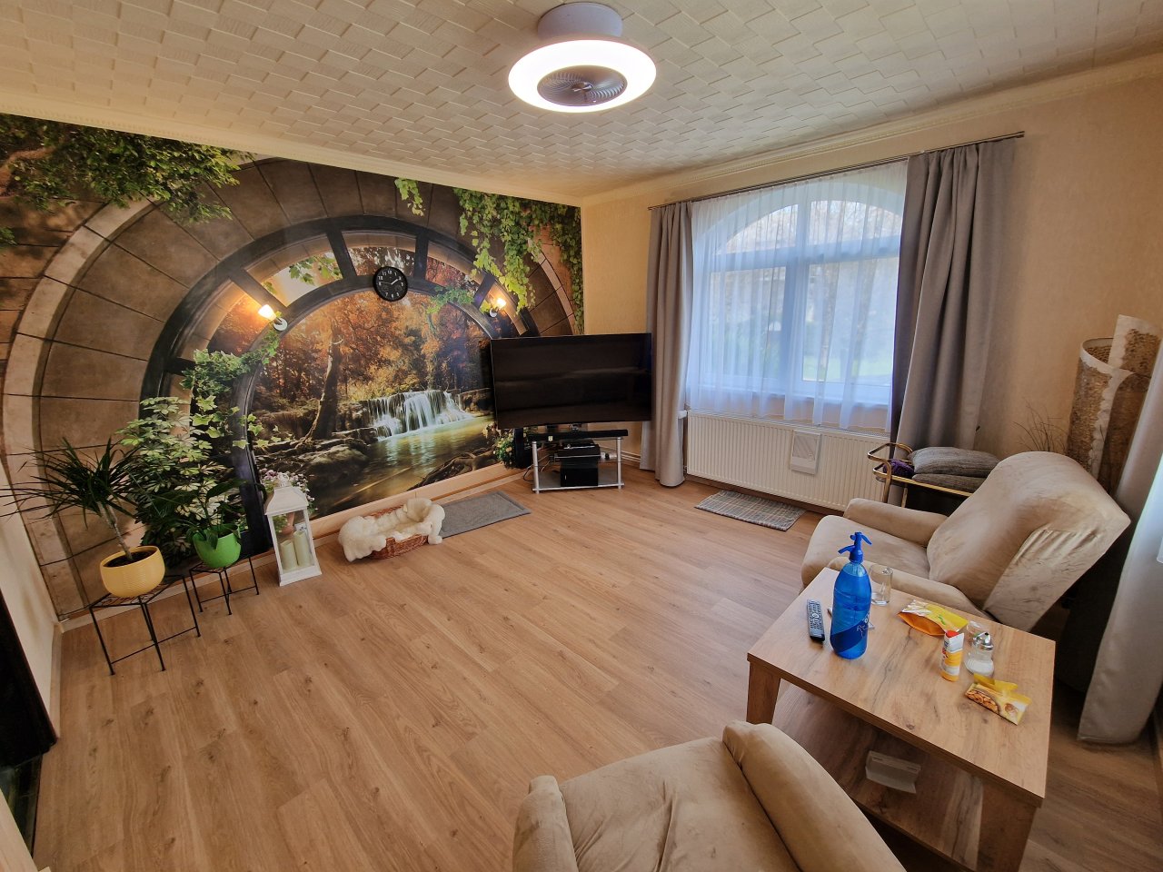 Fernsehzimmer unten, photo 16 of 66