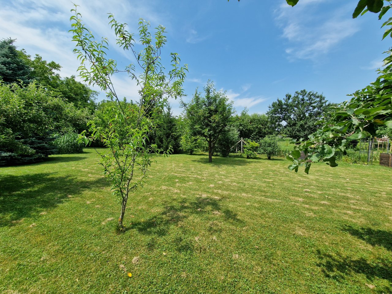 (AAA) Large country house with pool in a quiet location near Heviz – Sármellék, photo 44 of 66