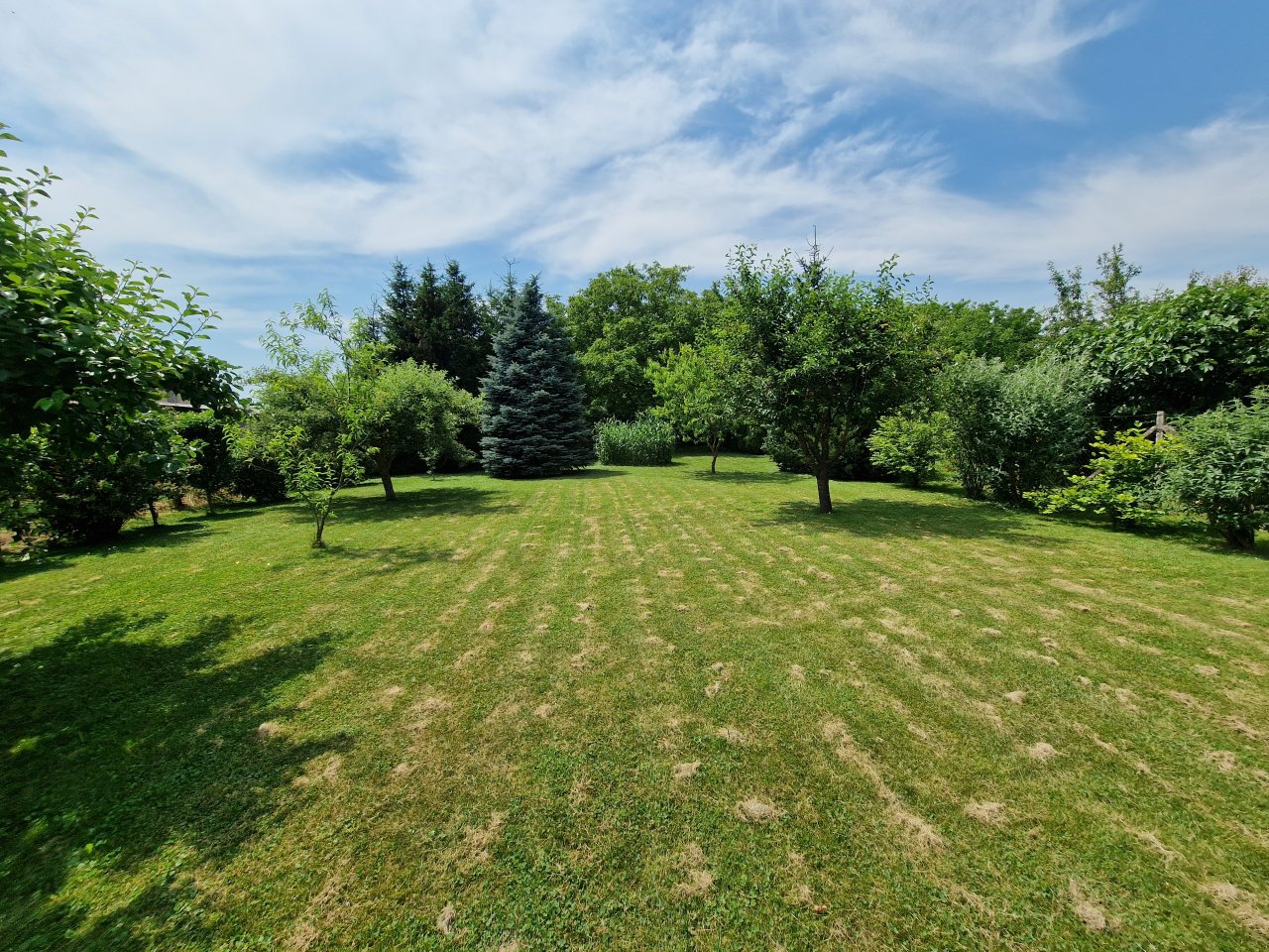 (AAA) Large country house with pool in a quiet location near Heviz – Sármellék, photo 45 of 66