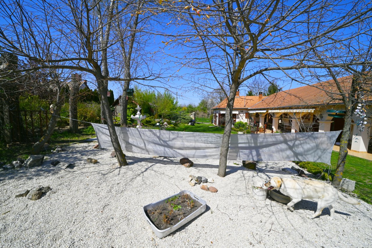 (BAB) Wunderschönes ungarisches Landhaus mit großem Grundstück und Pferdeboxen – bei Karad, Bild 1 von 73