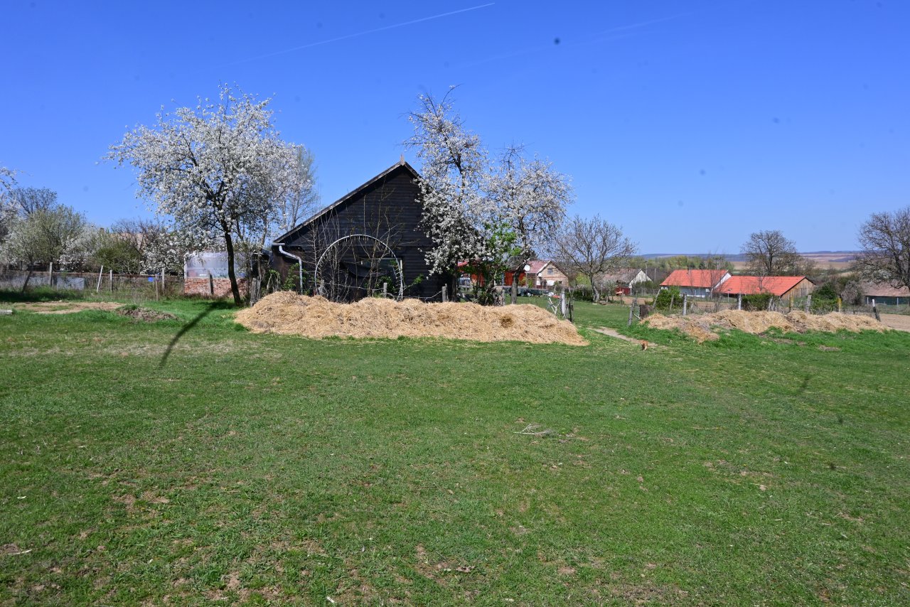 (BAB) Wunderschönes ungarisches Landhaus mit großem Grundstück und Pferdeboxen – bei Karad, Bild 8 von 73