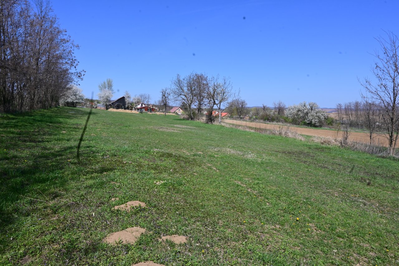 (BAB) Wunderschönes ungarisches Landhaus mit großem Grundstück und Pferdeboxen – bei Karad, Bild 40 von 73