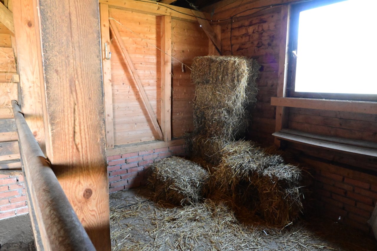 (BAB) Wunderschönes ungarisches Landhaus mit großem Grundstück und Pferdeboxen – bei Karad, Bild 54 von 73