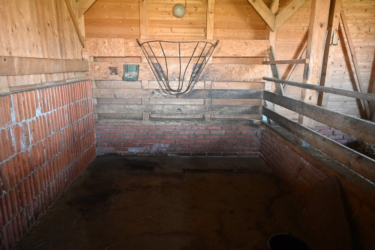(BAB) Wunderschönes ungarisches Landhaus mit großem Grundstück und Pferdeboxen – bei Karad, Bild 55 von 73
