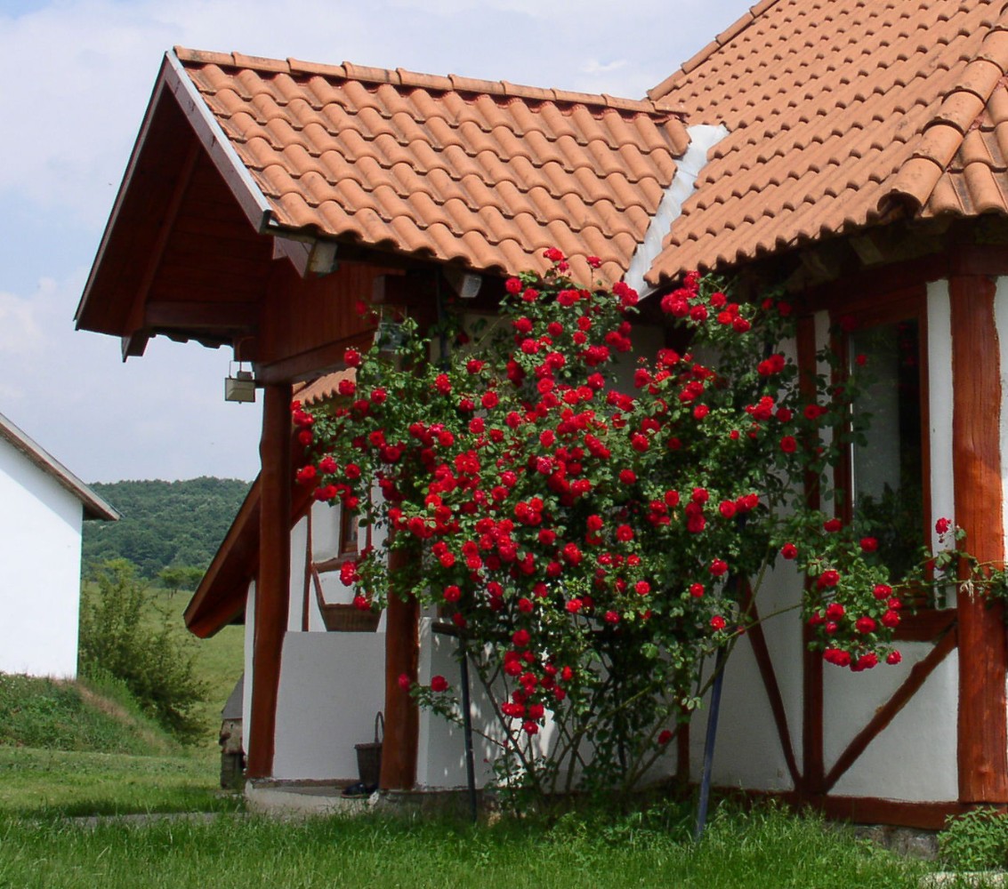 Bauernhof & Käserei im Ökodorf und Naturschutzgebiet in Westungarn – Ibafa, photo 2 of 40