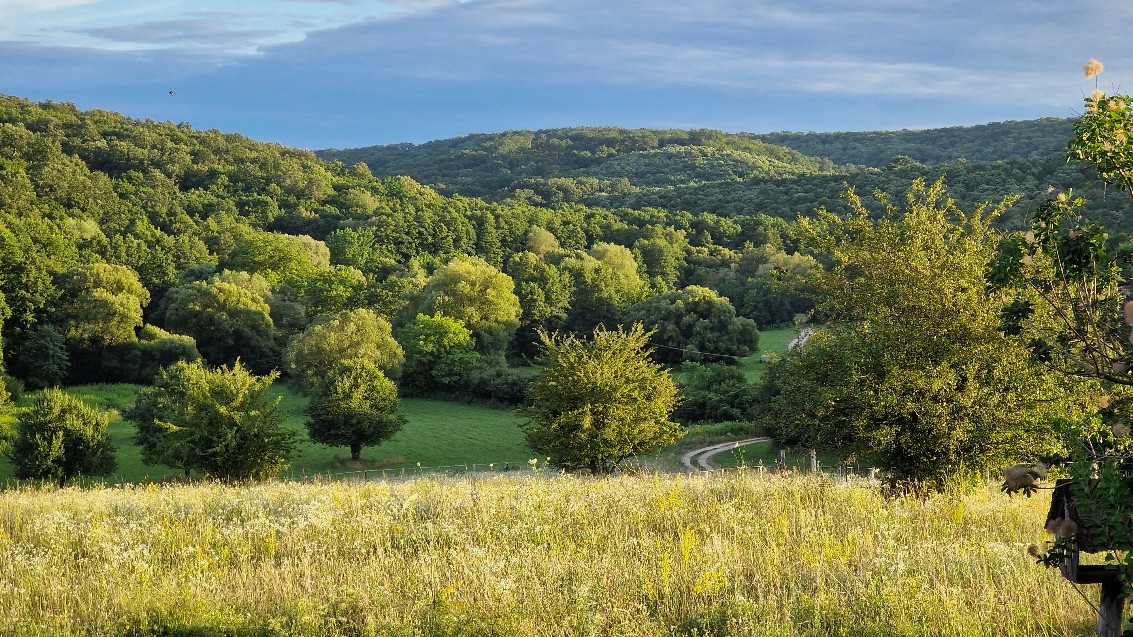 Bauernhof & Käserei im Ökodorf und Naturschutzgebiet in Westungarn – Ibafa, photo 6 of 40