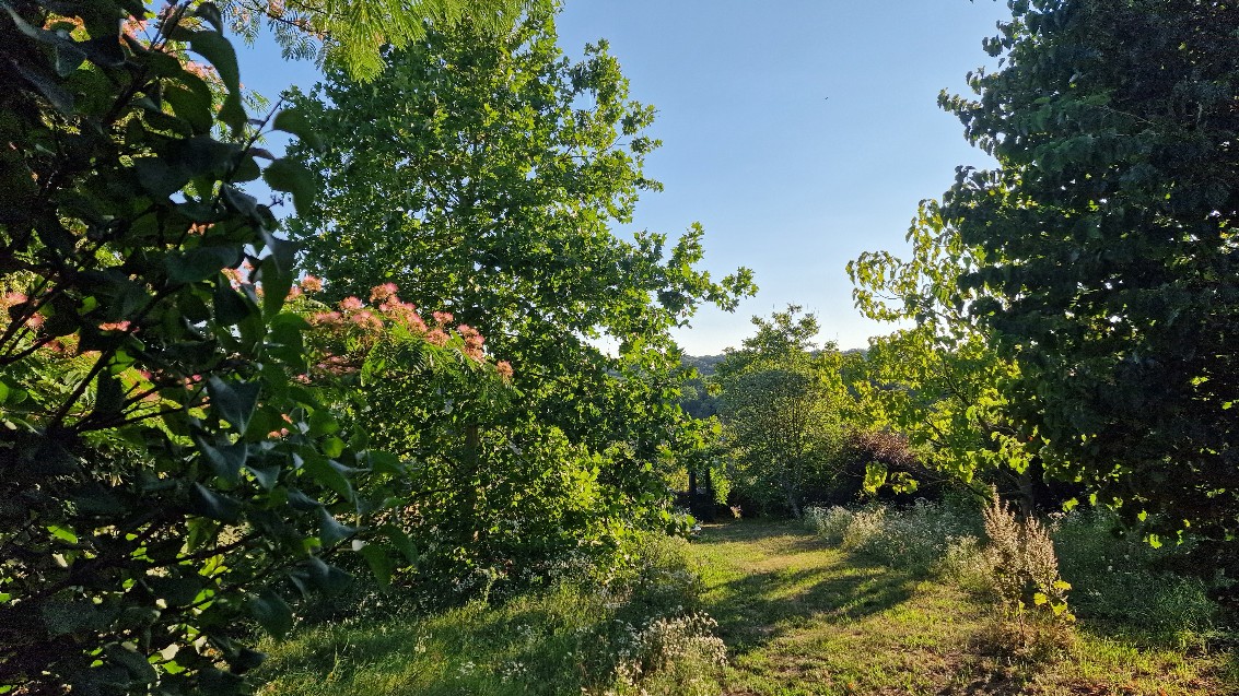 Bauernhof & Käserei im Ökodorf und Naturschutzgebiet in Westungarn – Ibafa, photo 8 of 40