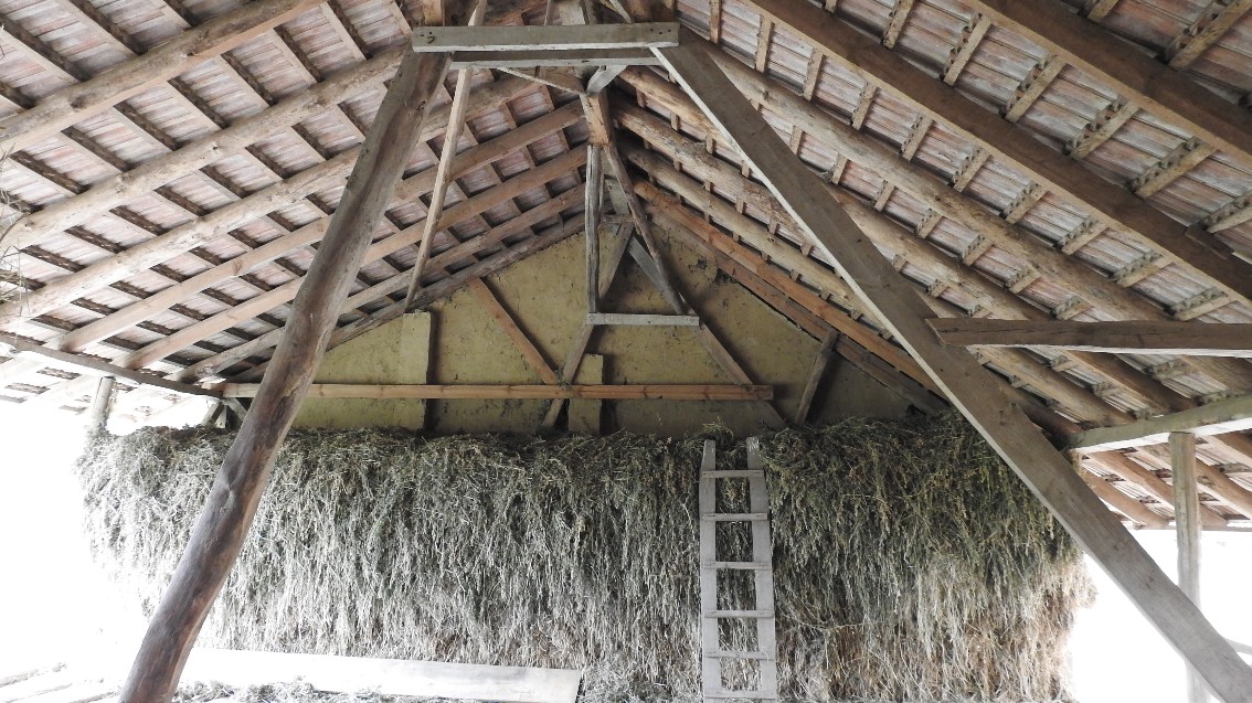 Bauernhof & Käserei im Ökodorf und Naturschutzgebiet in Westungarn – Ibafa, photo 10 of 40