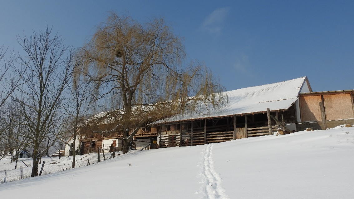 Bauernhof & Käserei im Ökodorf und Naturschutzgebiet in Westungarn – Ibafa, photo 11 of 40