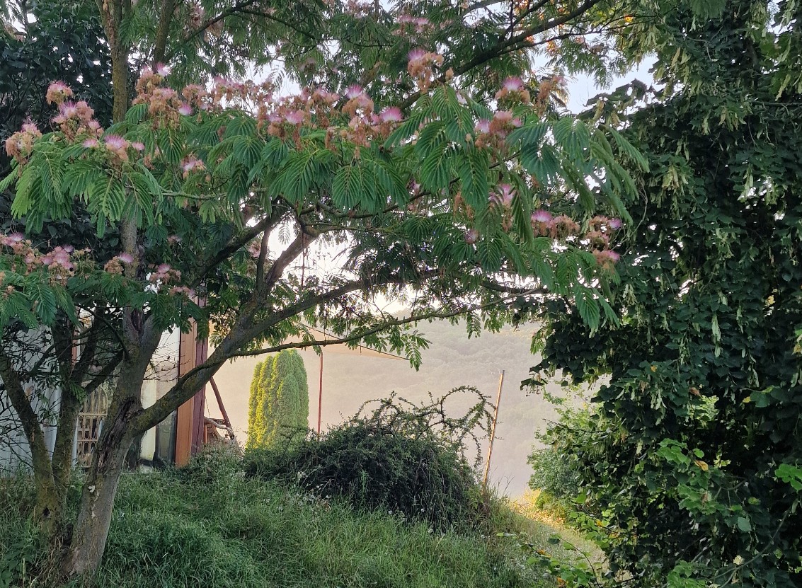 Bauernhof & Käserei im Ökodorf und Naturschutzgebiet in Westungarn – Ibafa, photo 12 of 40