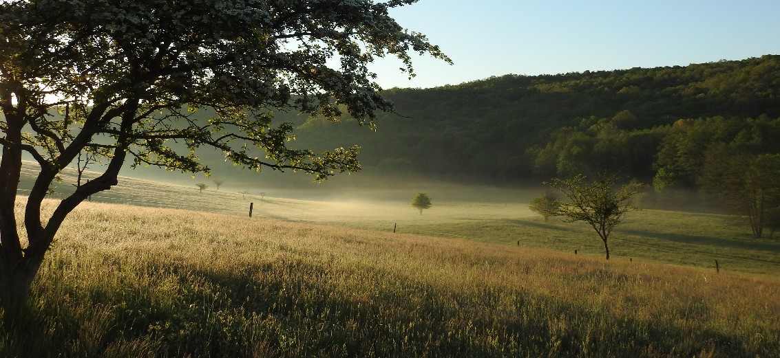 Bauernhof & Käserei im Ökodorf und Naturschutzgebiet in Westungarn – Ibafa, photo 18 of 40