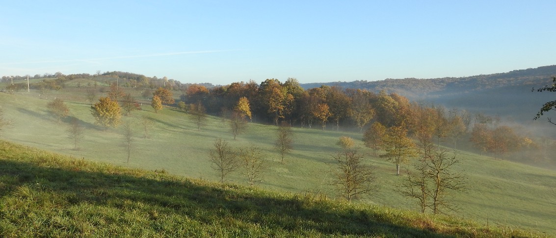 Bauernhof & Käserei im Ökodorf und Naturschutzgebiet in Westungarn – Ibafa, photo 22 of 40