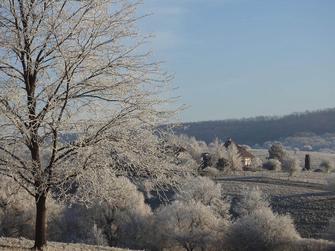 Bauernhof & Käserei im Ökodorf und Naturschutzgebiet in Westungarn – Ibafa, photo 26 of 40