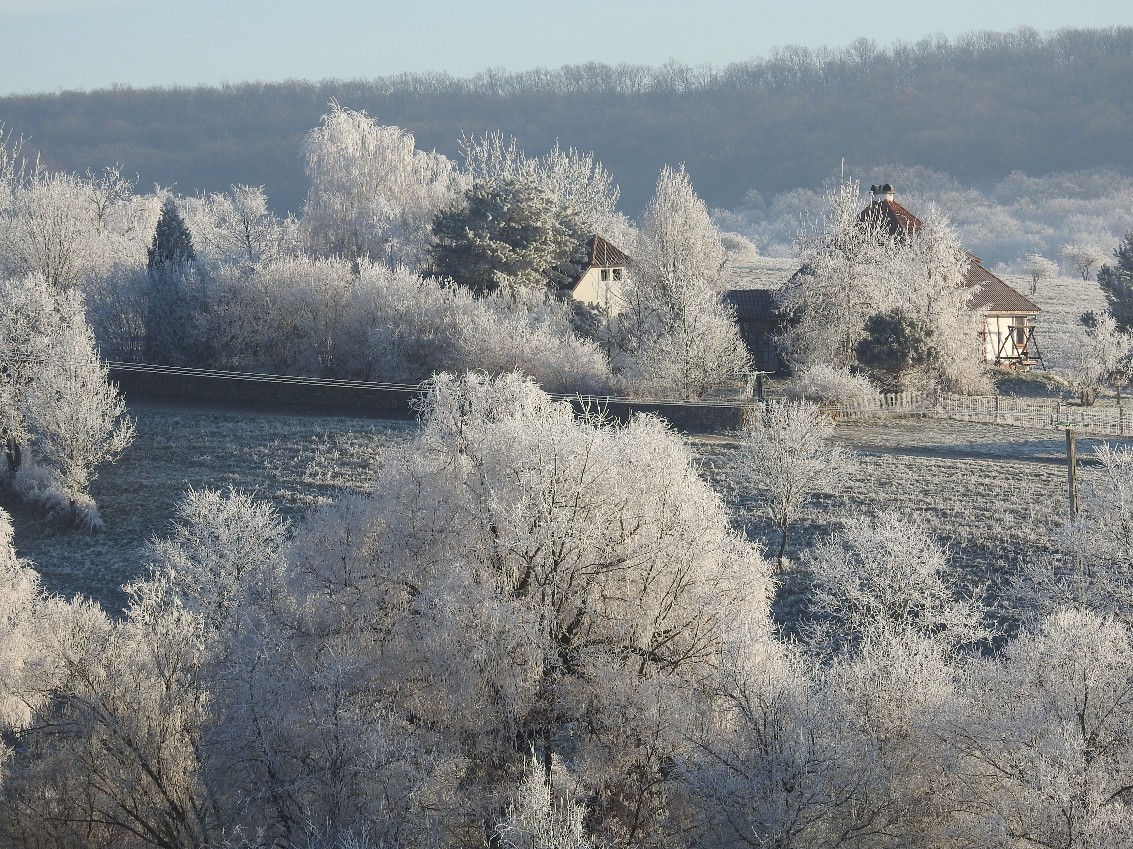 Bauernhof & Käserei im Ökodorf und Naturschutzgebiet in Westungarn – Ibafa, photo 27 of 40