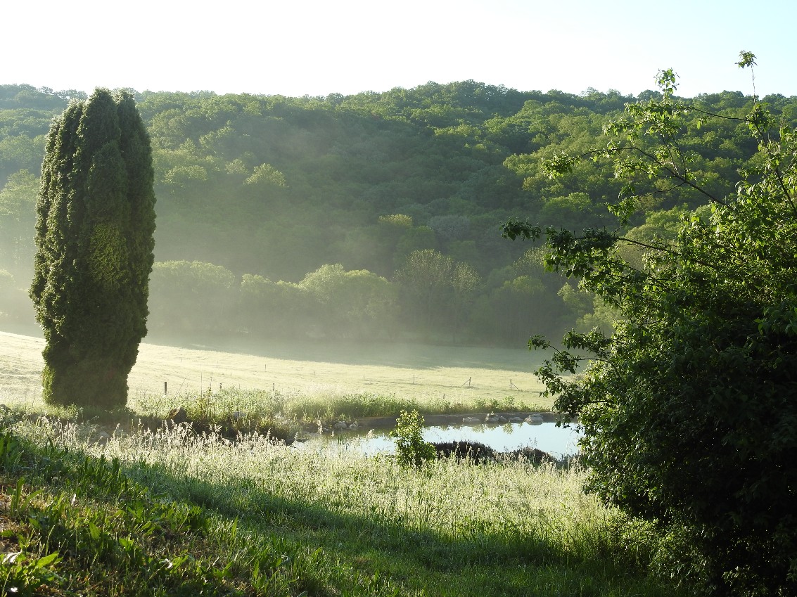 Bauernhof & Käserei im Ökodorf und Naturschutzgebiet in Westungarn – Ibafa, photo 29 of 40