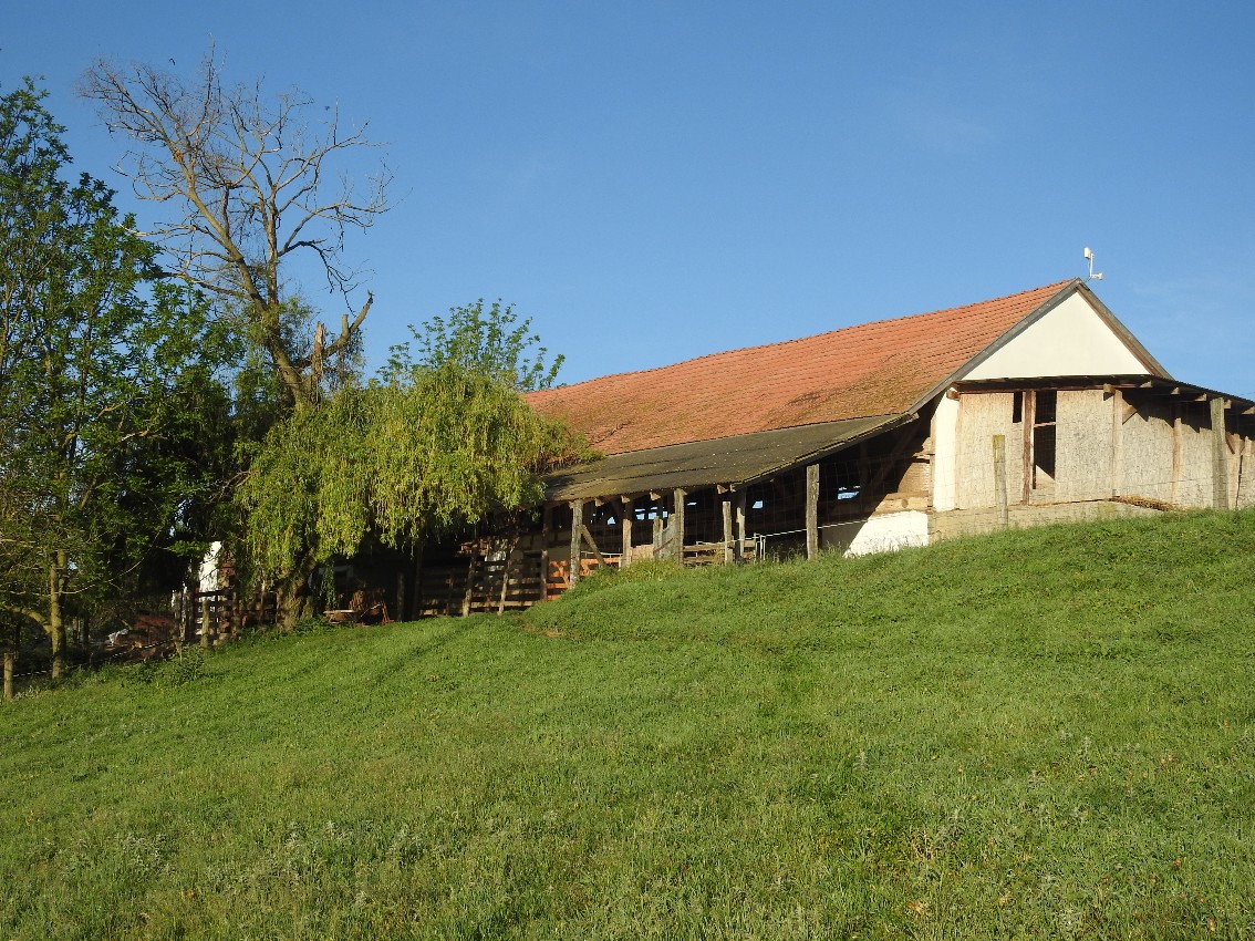 Bauernhof & Käserei im Ökodorf und Naturschutzgebiet in Westungarn – Ibafa, photo 32 of 40