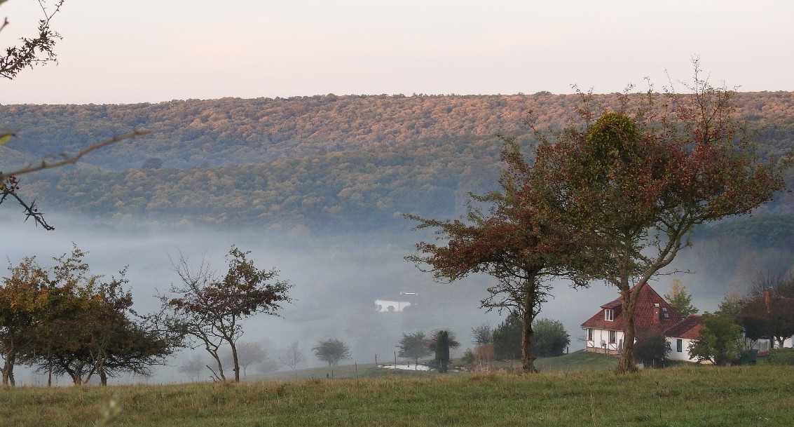 Bauernhof & Käserei im Ökodorf und Naturschutzgebiet in Westungarn – Ibafa, photo 33 of 40