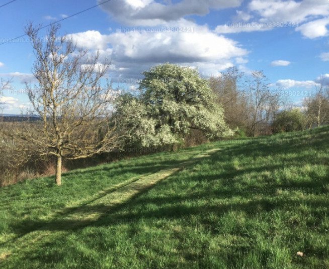 Large plot with distant views near Hévíz, a great investment (A-A) – Alsópáhok, photo 1 of 7