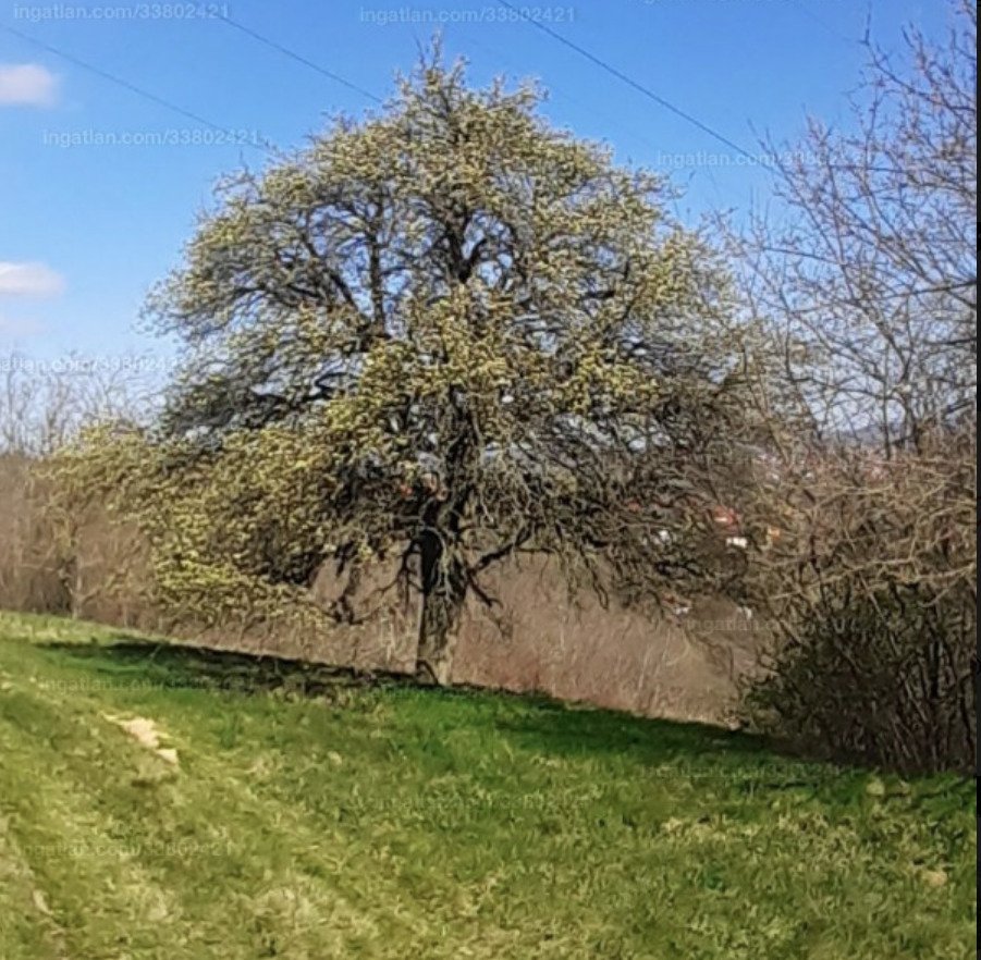 Large plot with distant views near Hévíz, a great investment (A-A) – Alsópáhok, photo 3 of 7