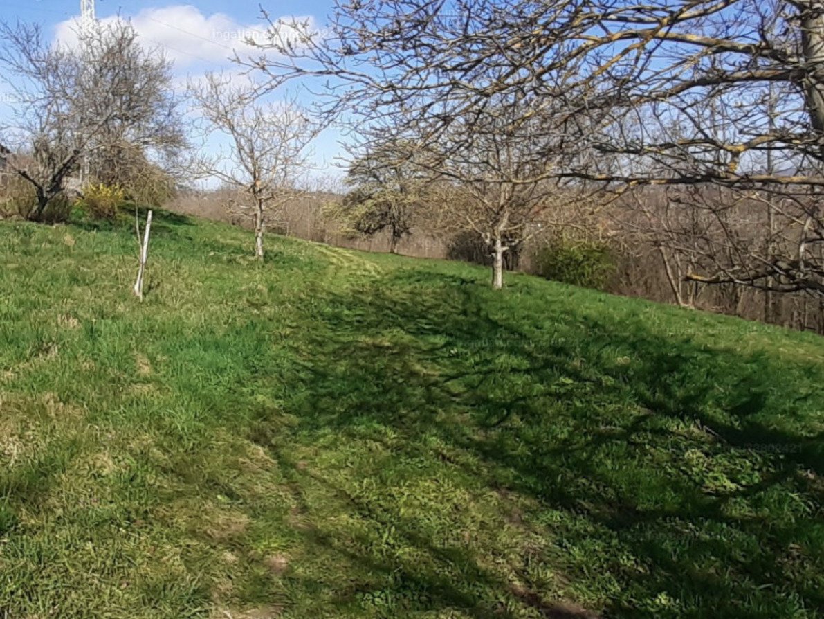Large plot with distant views near Hévíz, a great investment (A-A) – Alsópáhok, photo 4 of 7