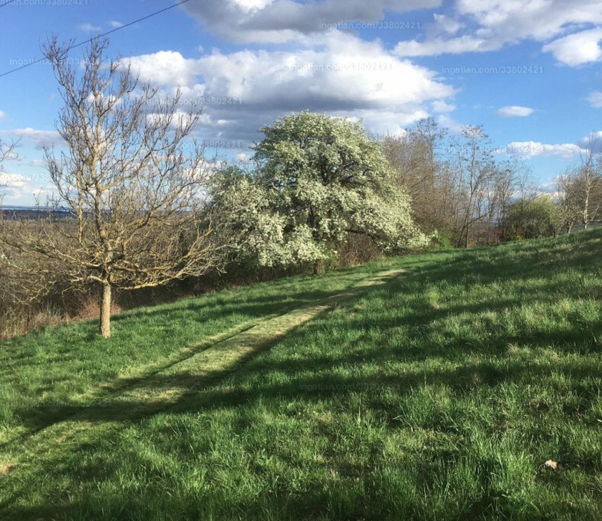 Large plot with distant views near Hévíz, a great investment (A-A) – Alsópáhok, photo 5 of 7