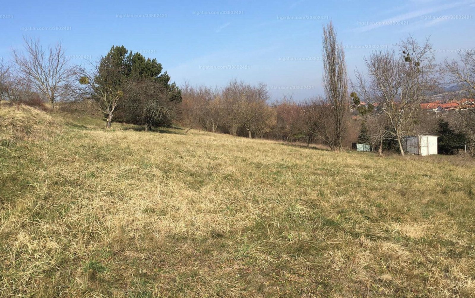 Large plot with distant views near Hévíz, a great investment (A-A) – Alsópáhok, photo 6 of 7