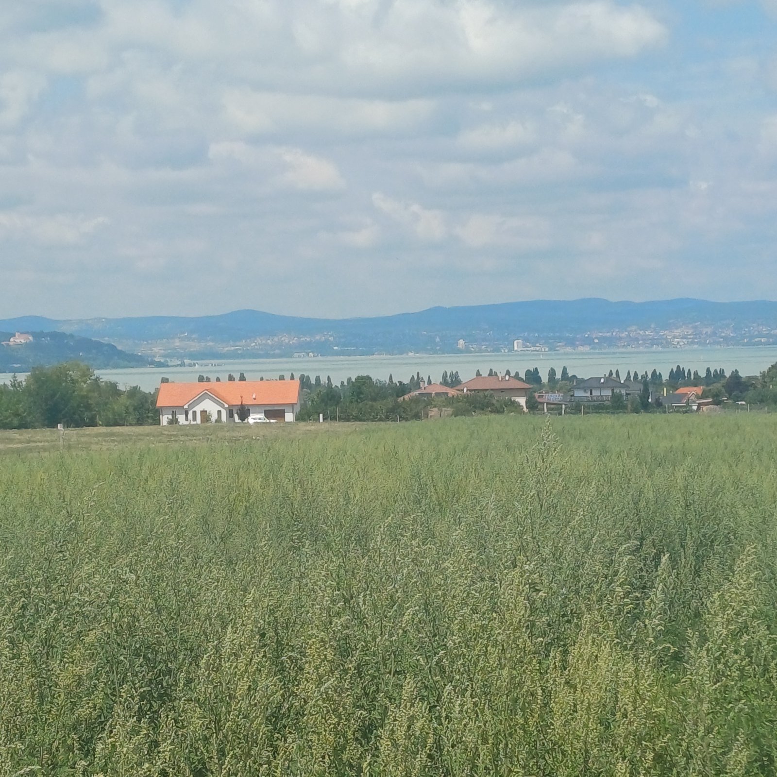 (A-A) 50 Bau-Grundstücke mit Balatonblick; Ideal für den Bauträger mit Weitblick – Siófok, Bild 2 von 3