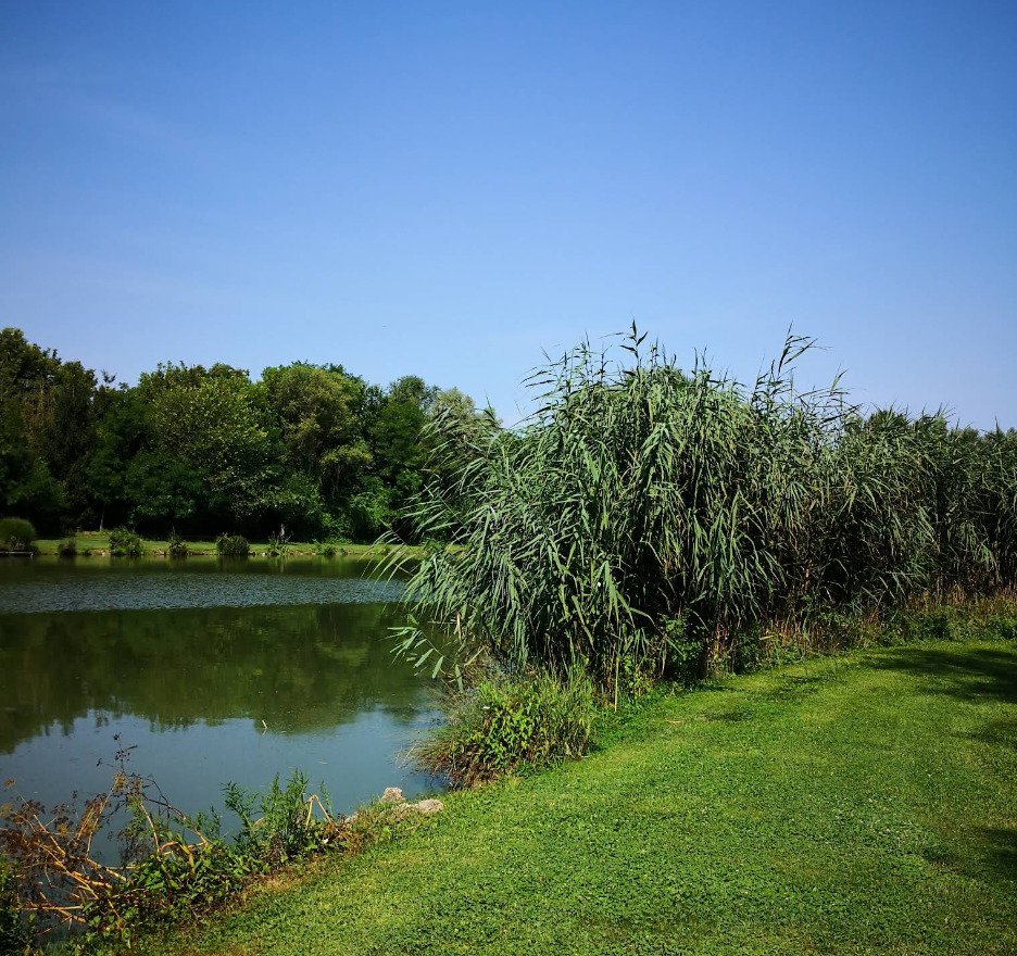 Exklusives Freizeit- und Investitionsobjekt: Gepflegter Angelsee in Top-Lage bei Pécs – Szalánta, Bild 5 von 17