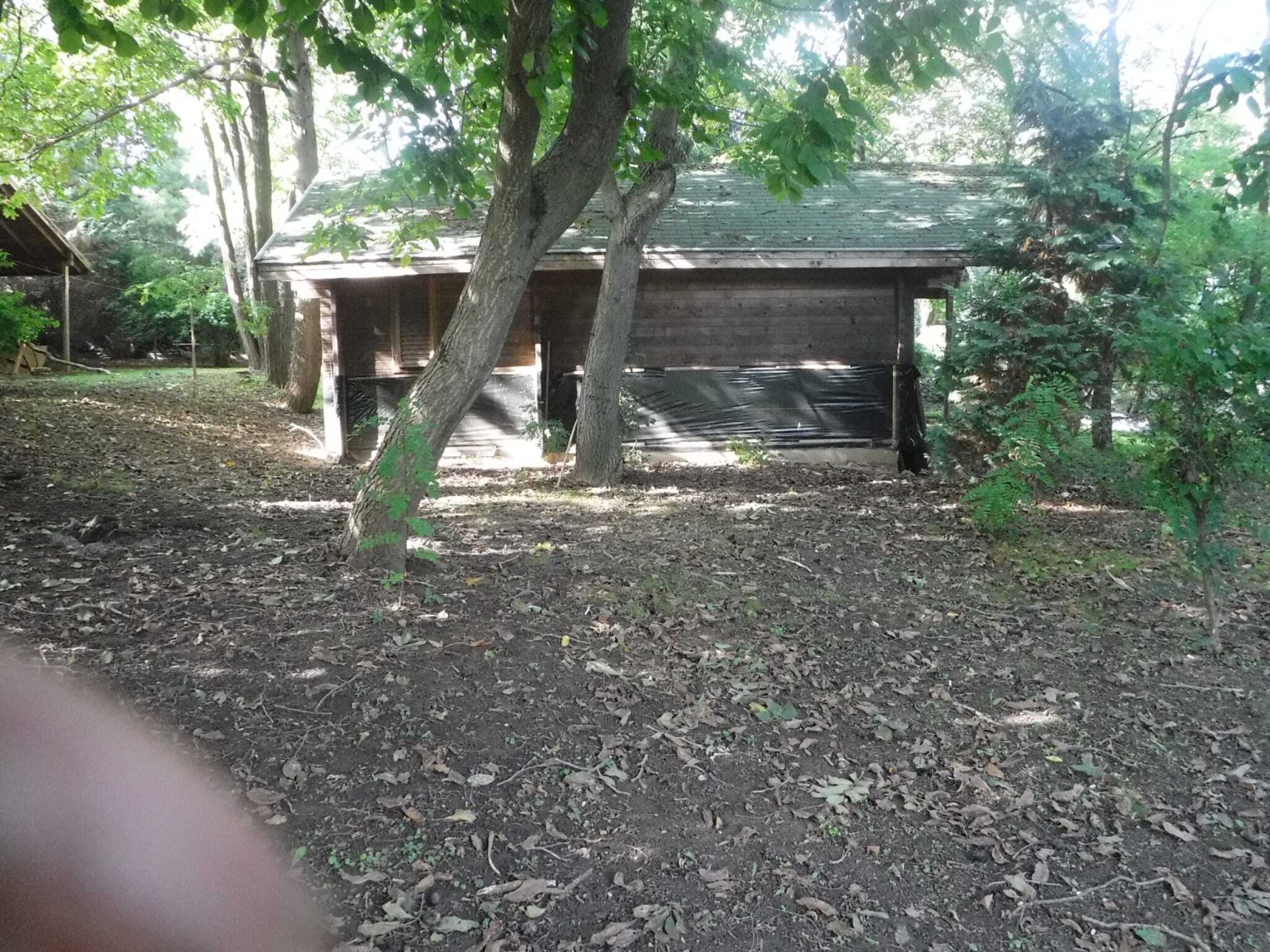 Exklusives Freizeit- und Investitionsobjekt: Gepflegter Angelsee in Top-Lage bei Pécs – Szalánta, Bild 7 von 17