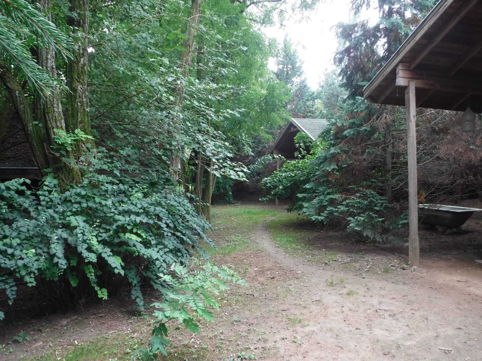 Exklusives Freizeit- und Investitionsobjekt: Gepflegter Angelsee in Top-Lage bei Pécs – Szalánta, Bild 10 von 17
