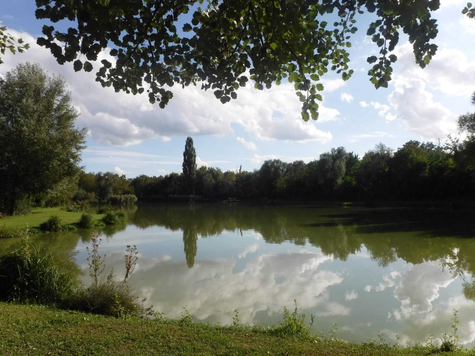 Exklusives Freizeit- und Investitionsobjekt: Gepflegter Angelsee in Top-Lage bei Pécs – Szalánta, Bild 14 von 17