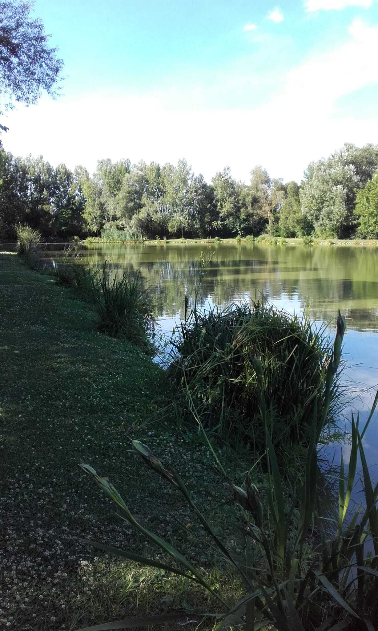 Exklusives Freizeit- und Investitionsobjekt: Gepflegter Angelsee in Top-Lage bei Pécs – Szalánta, Bild 15 von 17