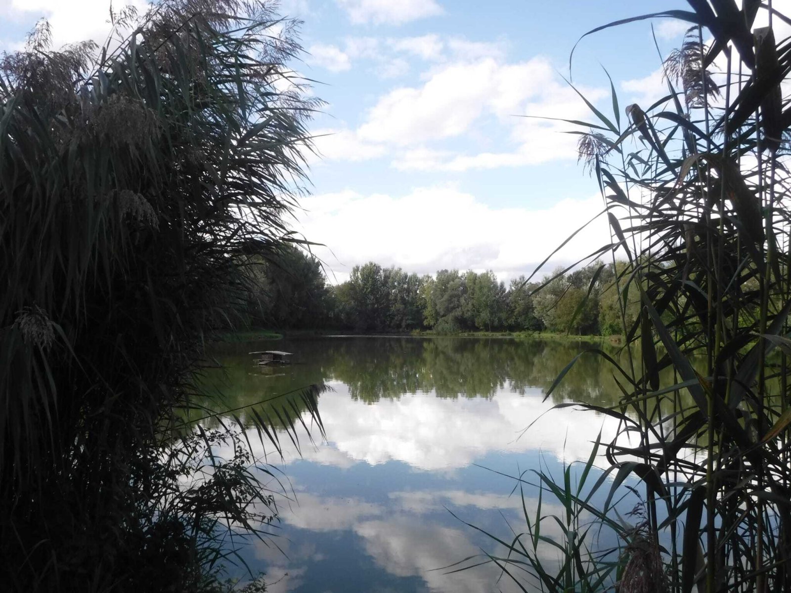 Exklusives Freizeit- und Investitionsobjekt: Gepflegter Angelsee in Top-Lage bei Pécs – Szalánta, Bild 16 von 17